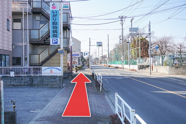 道路を右手に直進します