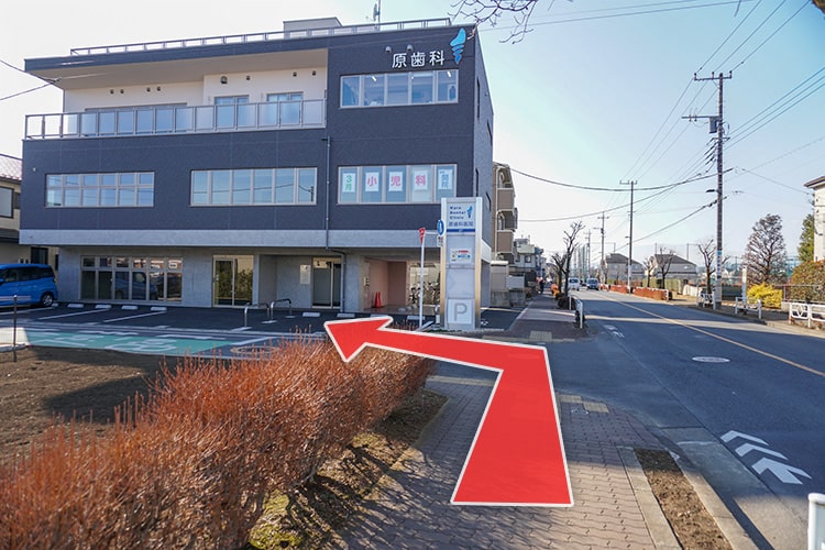 柏小学校を過ぎると左手に当院のビルが見えます